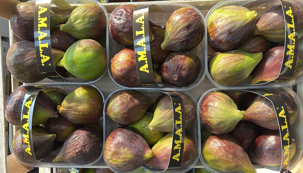 Fichi - Bailicata - 3,30 euro al chilogrammo